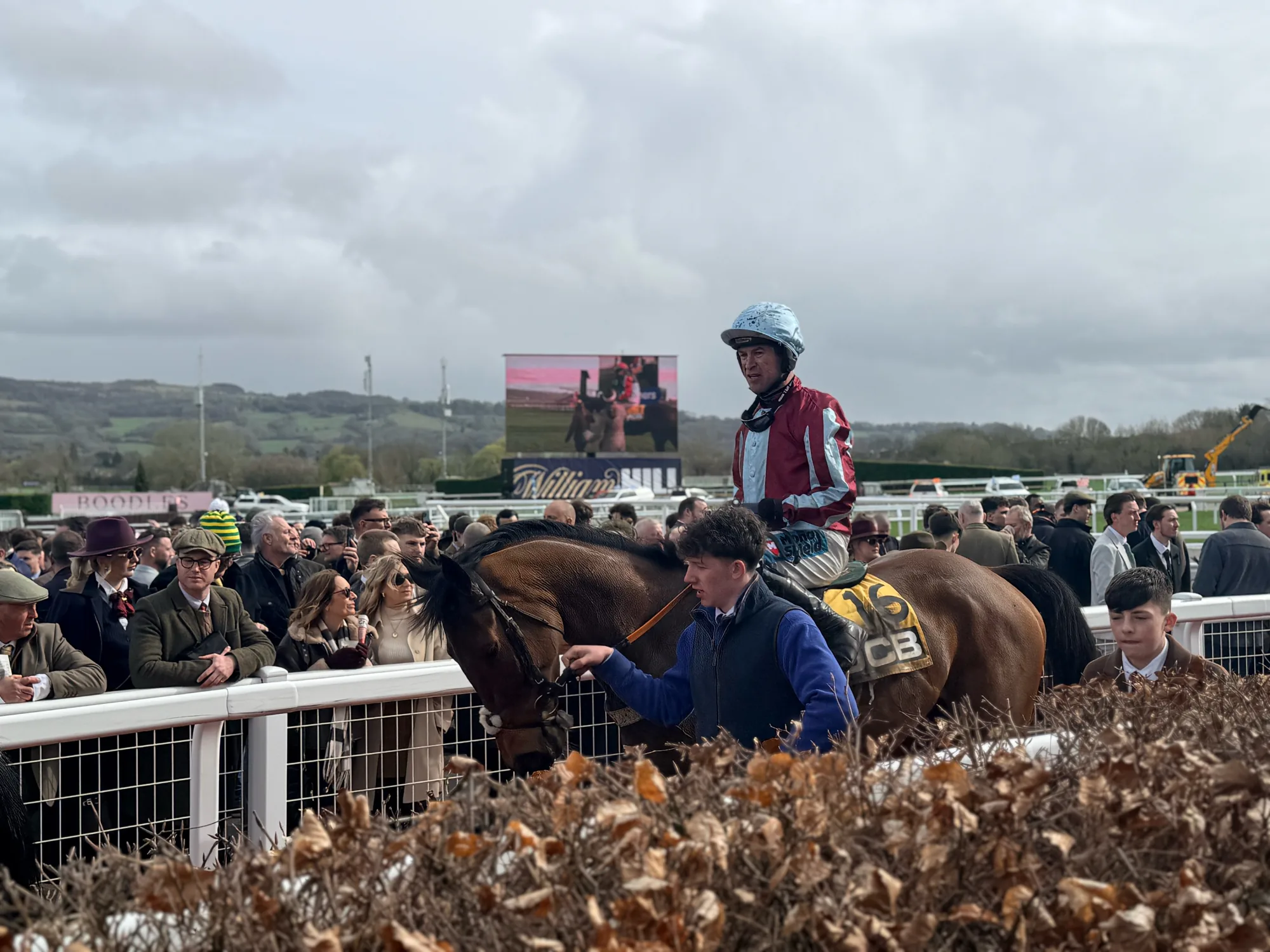 Racehorse, jockey and spectators in the paddock